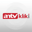 Logo antv